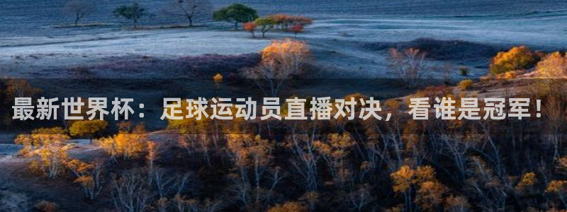最新世界杯：足球运动员直播对决，看谁是冠军！