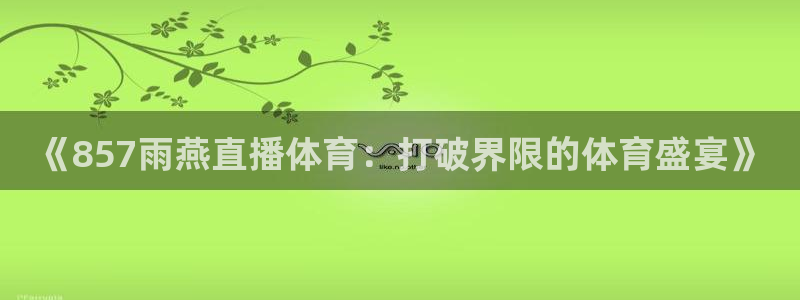 《857雨燕直播体育：打破界限的体育盛宴》