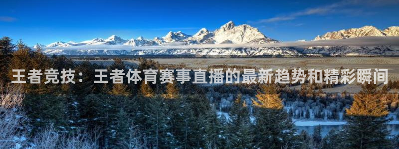 王者竞技：王者体育赛事直播的最新趋势和精彩瞬间
