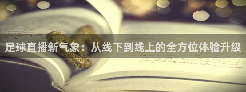 足球直播新气象：从线下到线上的全方位体验升级