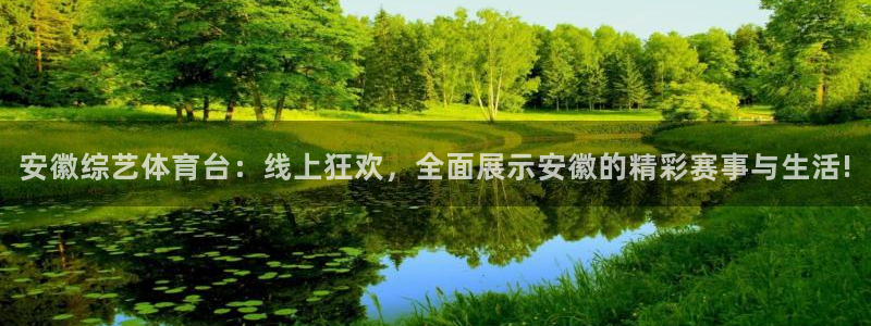 安徽综艺体育台：线上狂欢，全面展示安徽的精彩赛事与生活!