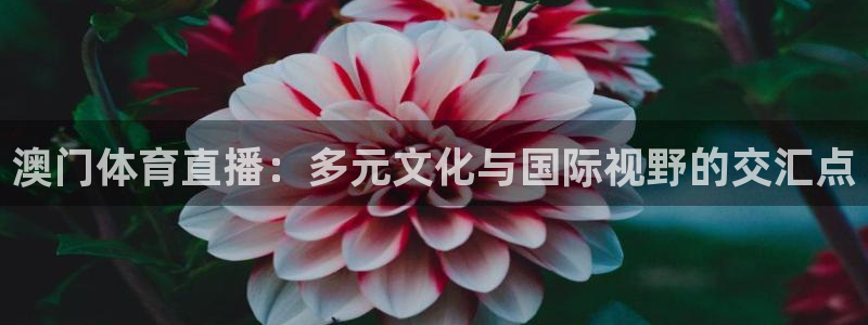 澳门体育直播：多元文化与国际视野的交汇点