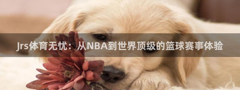 Jrs体育无忧：从NBA到世界顶级的篮球赛事体验