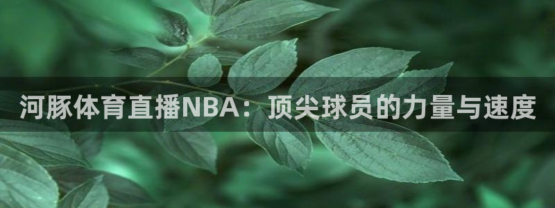 河豚体育直播NBA：顶尖球员的力量与速度