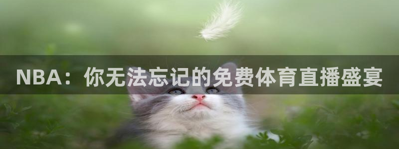 NBA：你无法忘记的免费体育直播盛宴