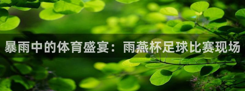 暴雨中的体育盛宴：雨燕杯足球比赛现场