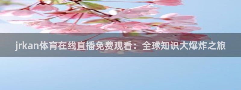 2018年足球世界杯冠军