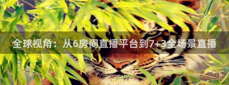 世界杯日本克罗地亚
