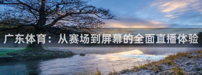 中国第一次参加世界杯决赛的球员：广东体育：从赛场到屏幕的全面直播体验
