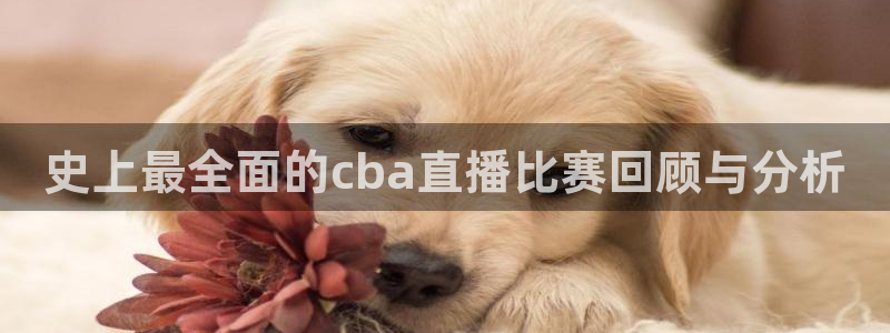 葡萄牙世界杯预选赛赛程